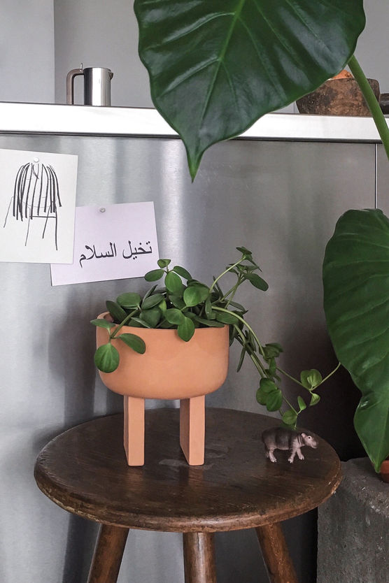 kücheninsel.
ich habe einen kücheninsel.
ich habe einen