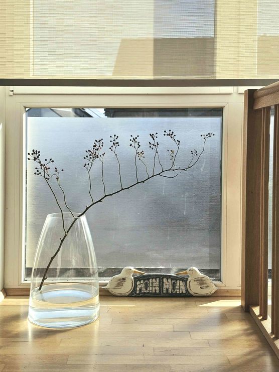 Bild von IDO Bild von IDO