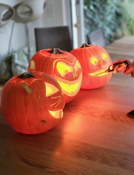 Bild von IDO Bild von IDO