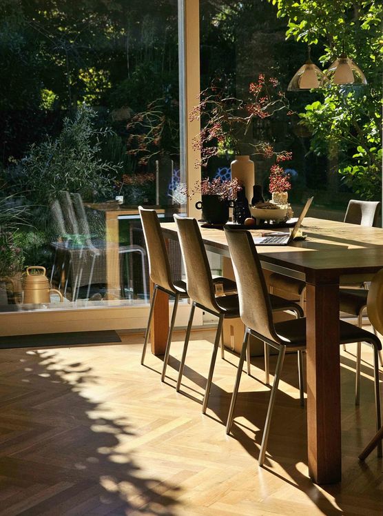 Bild von IDO Bild von IDO