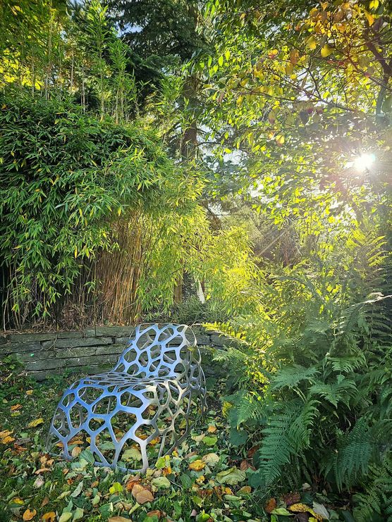 Bild von IDO Bild von IDO