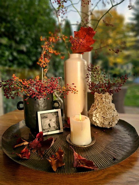 Bild von IDO Bild von IDO