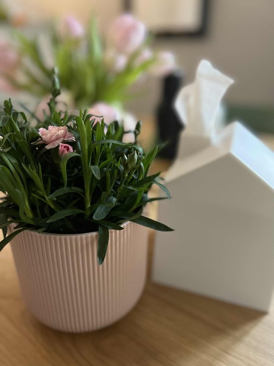 Bild von Papagenah Bild von Papagenah