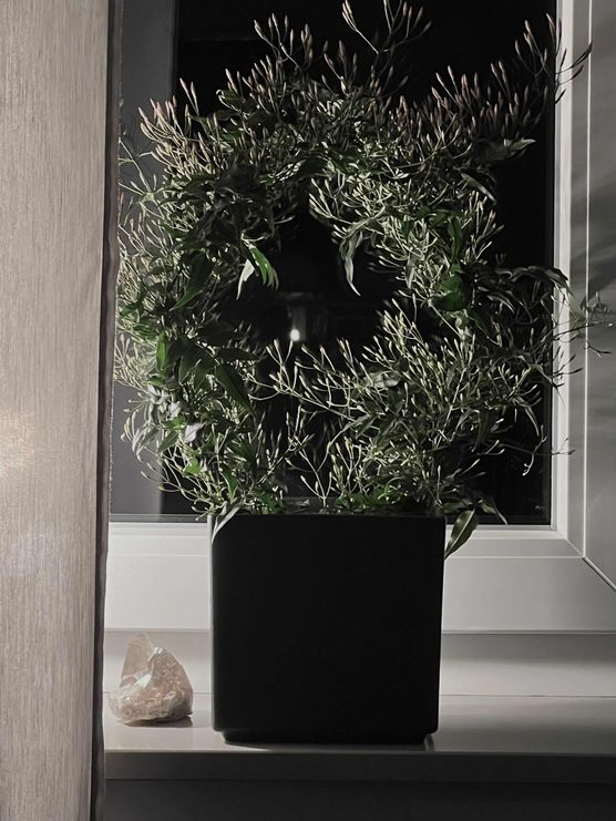 Bild von Papagenah Bild von Papagenah