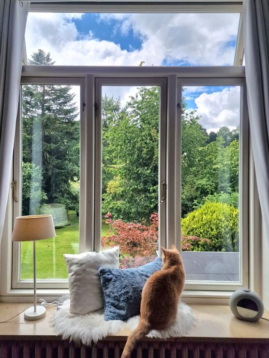 Wir lauschen dem Gezwitscher Wir lauschen dem Gezwitscher