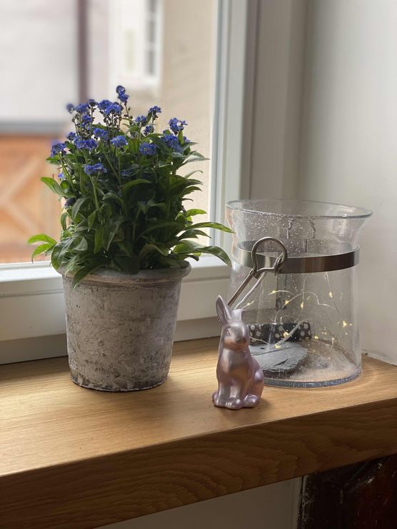 Bild von ZUCKERPUPPE245 Bild von ZUCKERPUPPE245