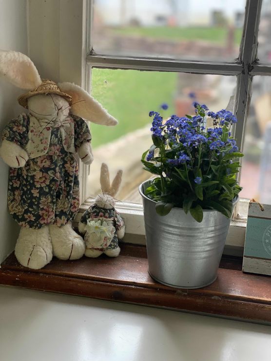 Bild von ZUCKERPUPPE245 Bild von ZUCKERPUPPE245