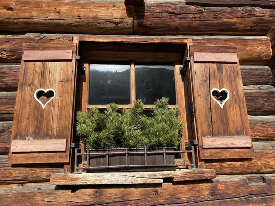 Bild von ZUCKERPUPPE245 Bild von ZUCKERPUPPE245