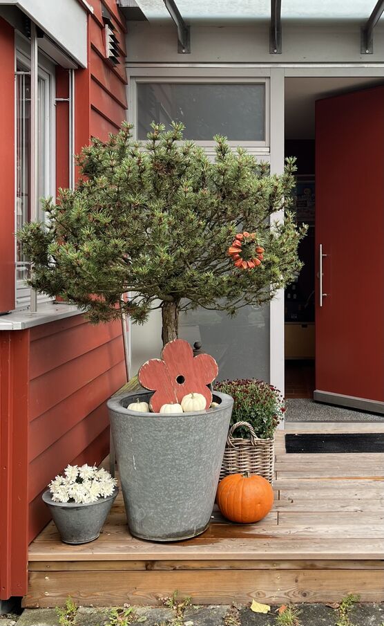 Nachdem mir der Hauseingang Nachdem mir der Hauseingang