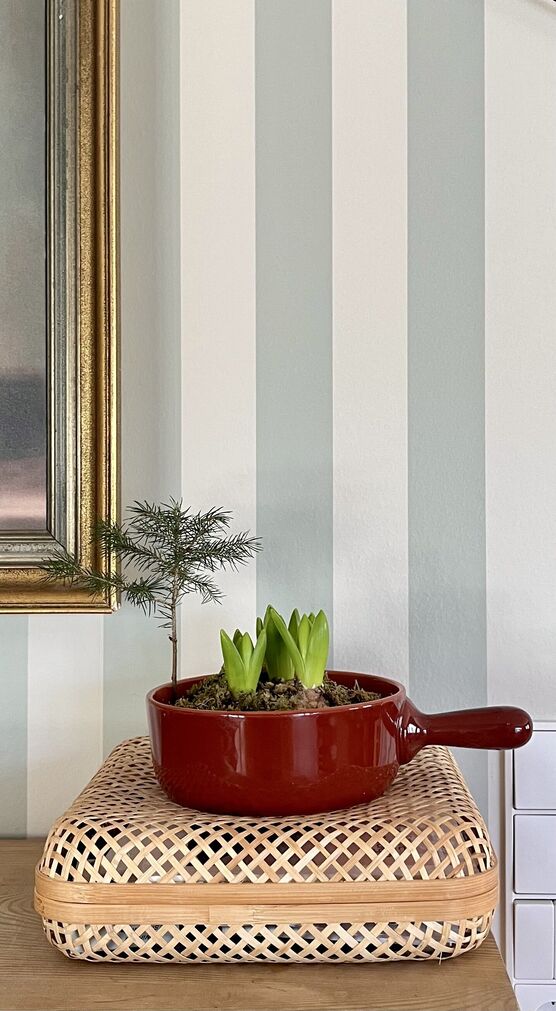 Ganz ohne Winter konnte Ganz ohne Winter konnte