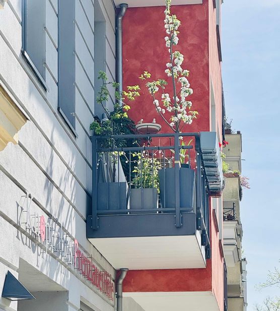 Bild von Bylle Bild von Bylle