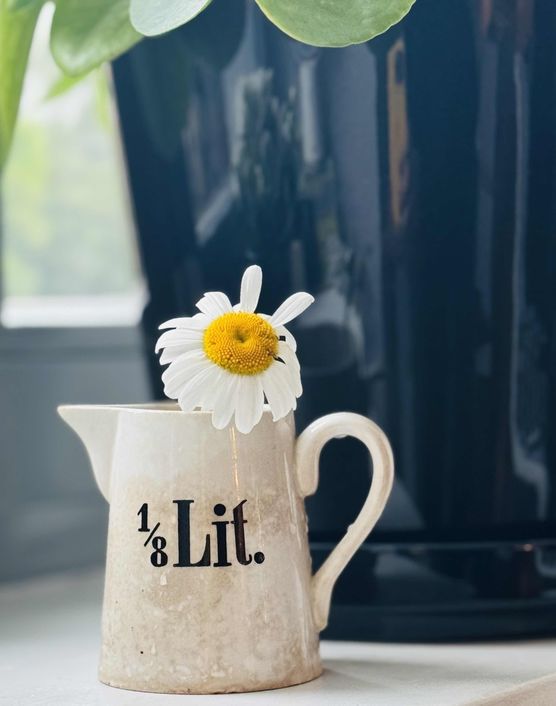 Bild von Bylle Bild von Bylle