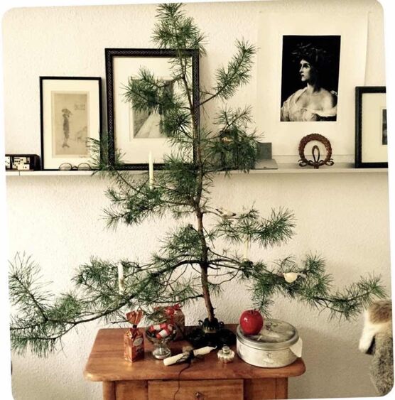 Bild von Bylle Bild von Bylle