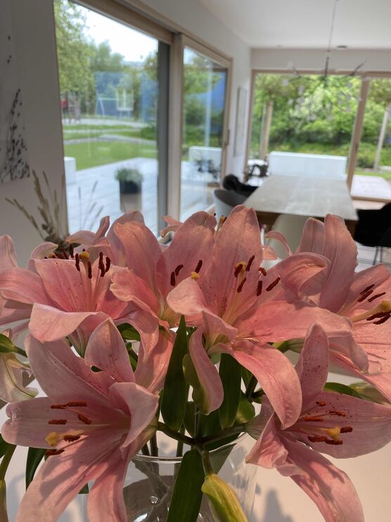 Bild von Murci Bild von Murci