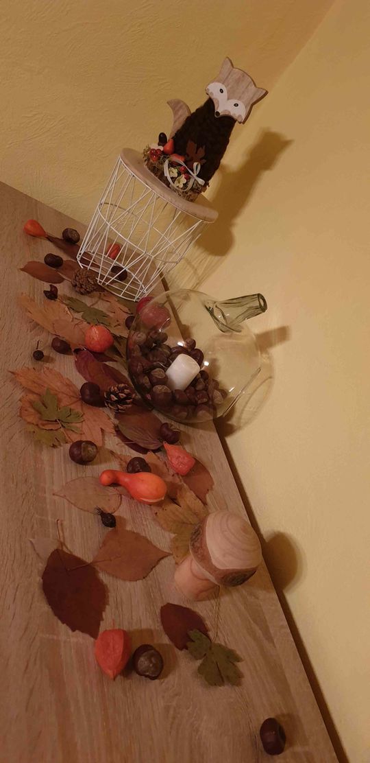 Bild von ev1227 Bild von ev1227