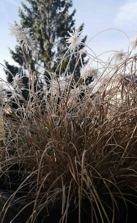 Bild von melanfil Bild von melanfil