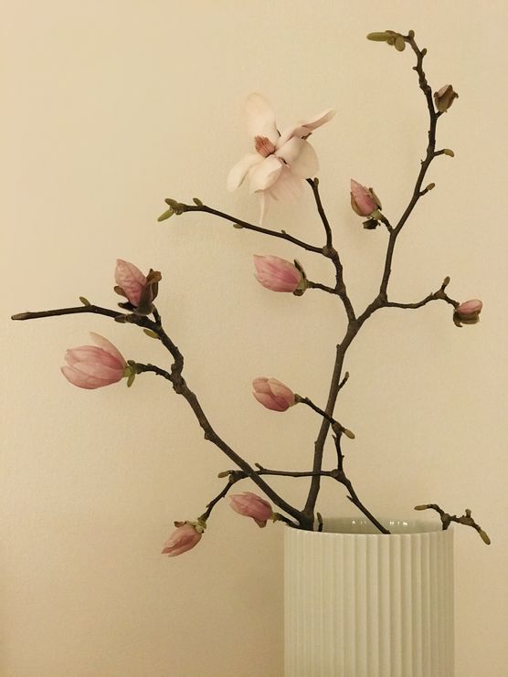 Wie Blüten gehn Gedanken Wie Blüten gehn Gedanken