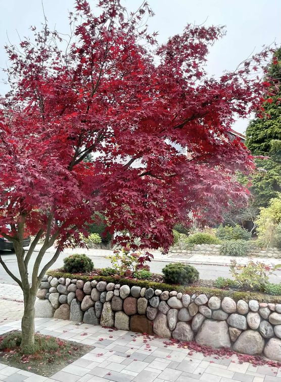 Bild von ingelein Bild von ingelein