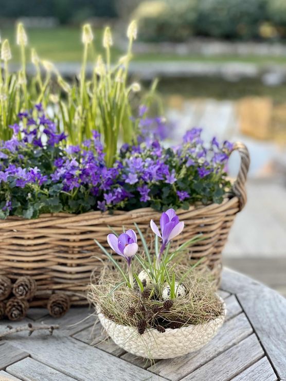 Bild von ingelein Bild von ingelein