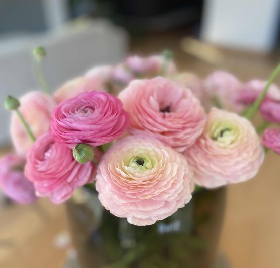 Bild von ingelein Bild von ingelein