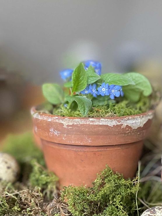 Bild von ingelein Bild von ingelein