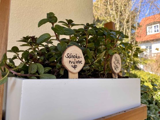 Bild von bergherz Bild von bergherz