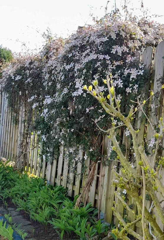 Bild von ingbie28 Bild von ingbie28