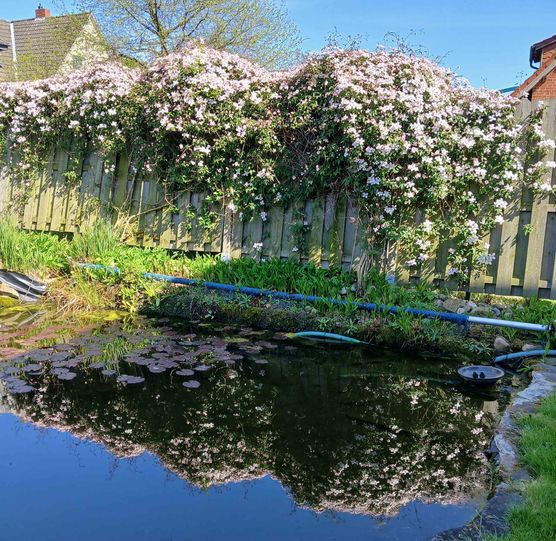 Bild von ingbie28 Bild von ingbie28