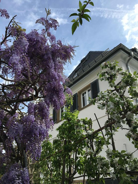 Bild von _Blumenkind_ Bild von _Blumenkind_