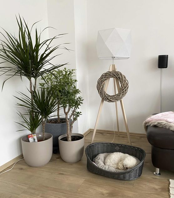 Bild von Maggie_82 Bild von Maggie_82