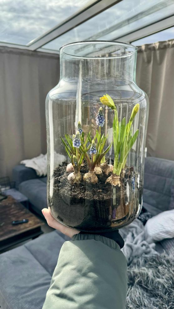 Bild von juuliasabrina Bild von juuliasabrina