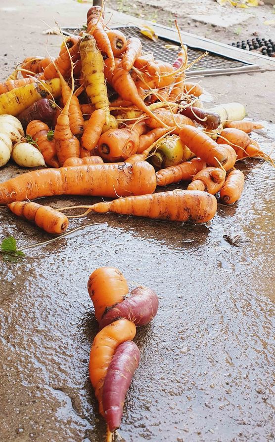 Bild von Kevin Hahn Bild von Kevin Hahn