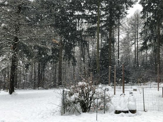 Bild von nadijunge Bild von nadijunge