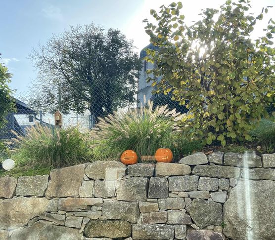 Bild von Fancy Bild von Fancy