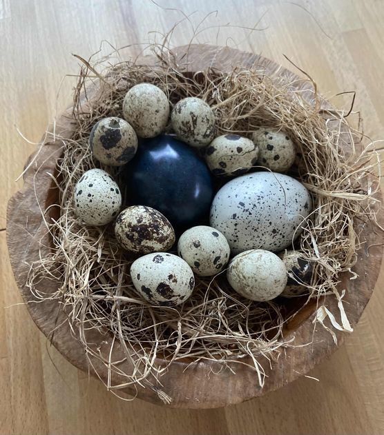 Bild von Fancy Bild von Fancy