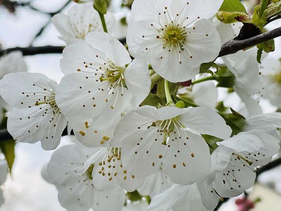 Bild von Salau Bild von Salau