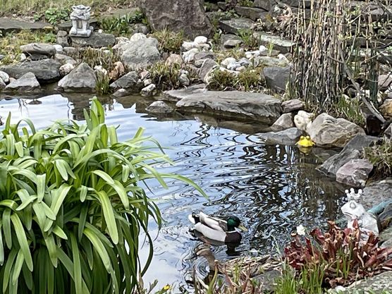 Bild von Salau Bild von Salau