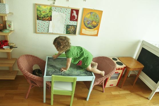 zwei Katzen zwei Katzen