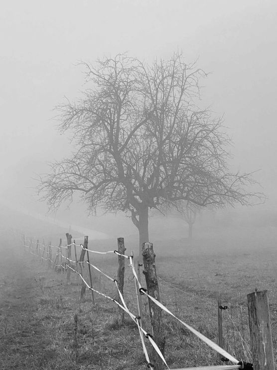 Bild von himmelgrün Bild von himmelgrün