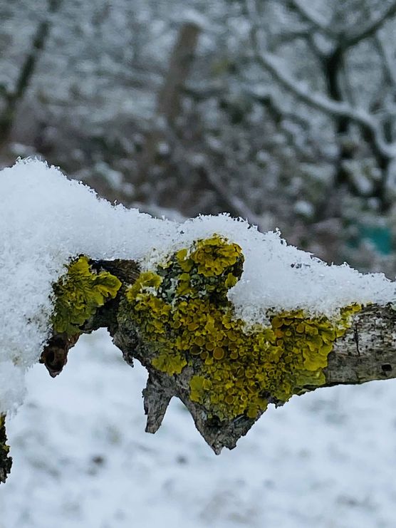 Bild von himmelgrün Bild von himmelgrün