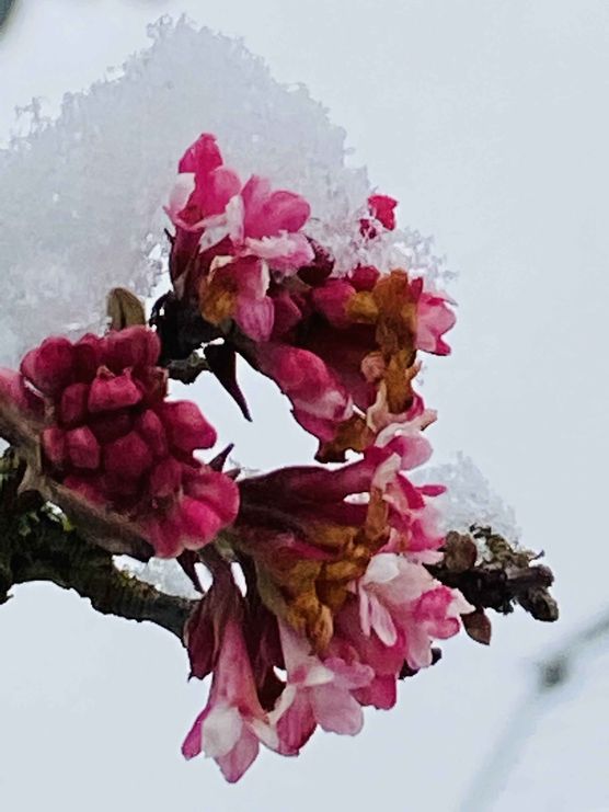 Bild von himmelgrün Bild von himmelgrün