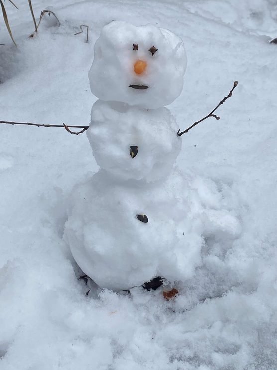 Bild von himmelgrün Bild von himmelgrün