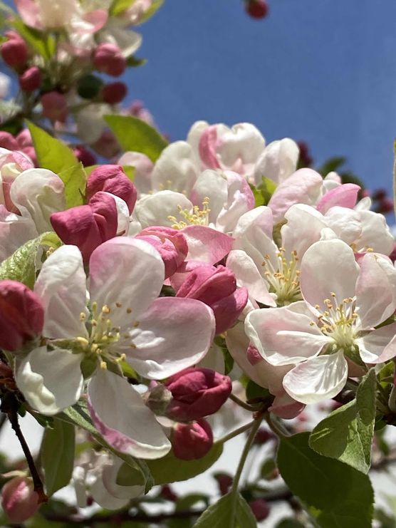 Bild von himmelgrün Bild von himmelgrün