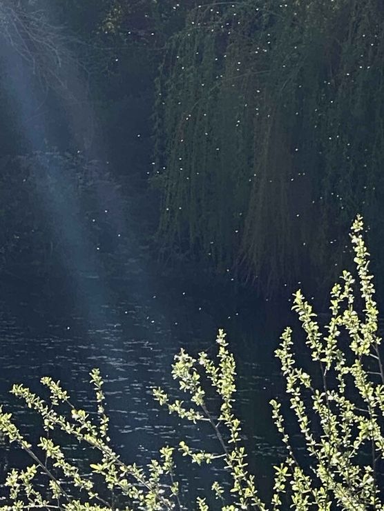 Bild von himmelgrün Bild von himmelgrün