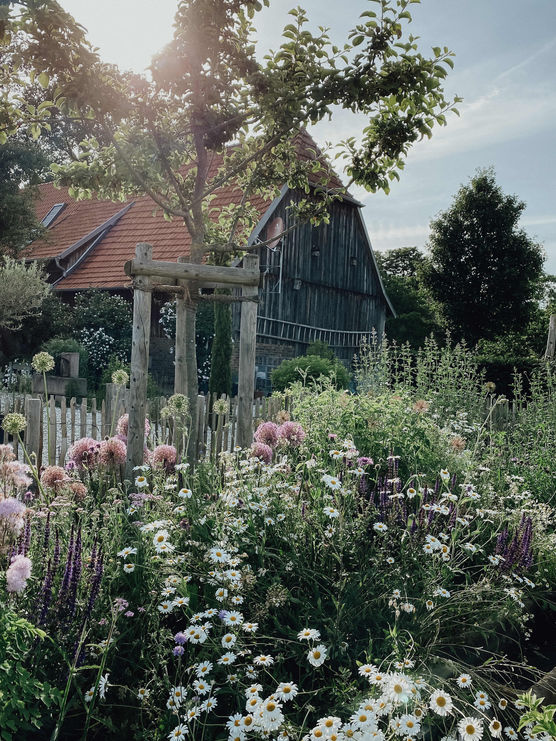 Bild von house.no1. Bild von house.no1.