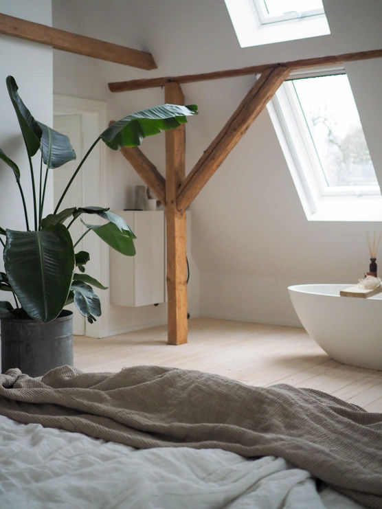 Bild von house.no1. Bild von house.no1.