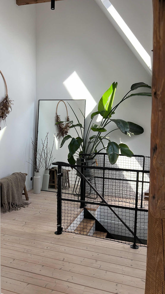 Bild von house.no1. Bild von house.no1.