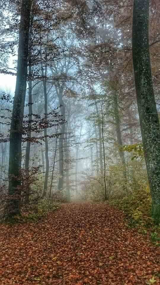 Bild von veearya Bild von veearya