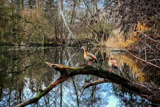 Bild von veearya Bild von veearya