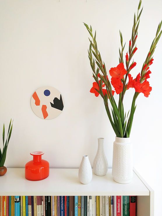 Rote Gladiolen Rote Gladiolen